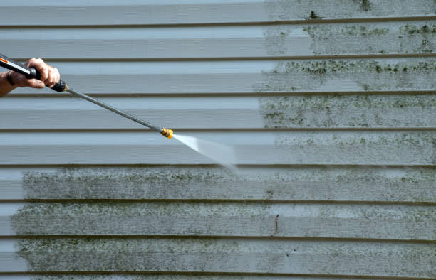 Best Residential Mold Remediation in Konawa, OK