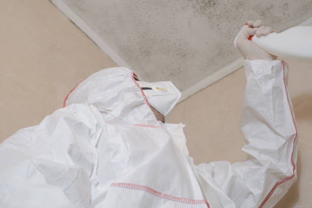 Best Preventive Mold Services in Konawa, OK
