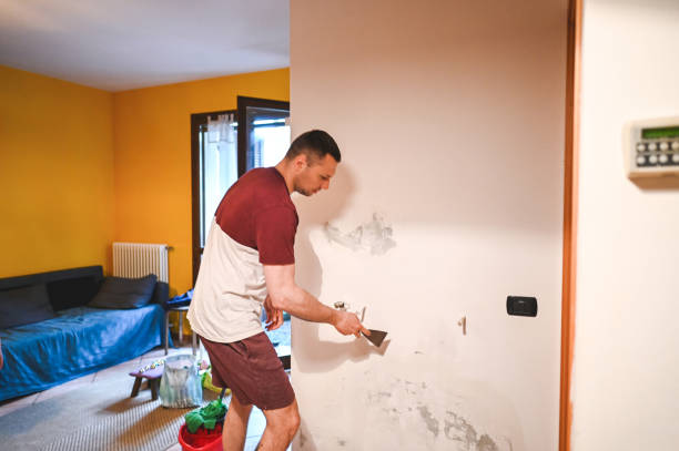 Best Health and Safety Mold Remediation in Konawa, OK