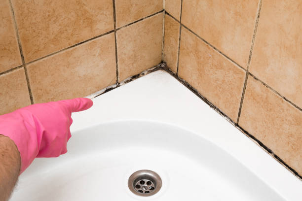 Best Bathroom Mold Remediation in Konawa, OK